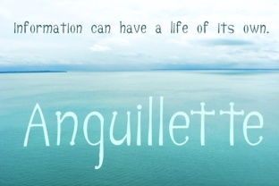 Anguillette: A Practical Guide to This Versatile Ingredient and How to Use It Well