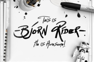 Bjorn Rider: A Practical Guide for Real-World Use