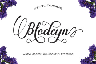 Blodeyn: A Practical Tool for Everyday Use