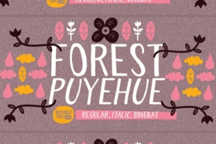 Discover the Power of Forest Puyehue for Your Daily Life