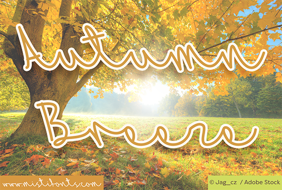 Embrace the Season with Autumn Breeze