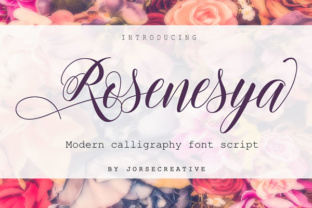 Getting Rosenesya Right: Smarter Choices for Better Digital Experiences