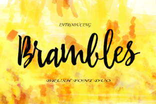 Getting the Most Out of Brambles: Common Pitfalls and Smarter Approaches
