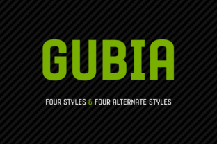 Gubia Family: A Practical Framework for Streamlined Work