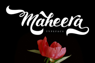 Maheera: A Strategic Tool for Better Decision-Making and Results