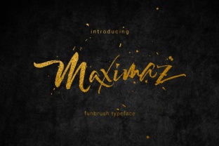 Maximaz in Practice: Using Leadership Assessment to Drive Real Results