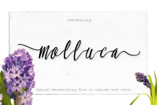 Molluca: A Practical Tool for Everyday Use