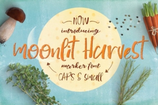 Moonlit Harvest: A Practical Framework for Capturing and Applying Insights