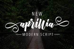New Aprillia: A Practical Assessment for Creative Professionals