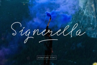 Signerella: A Designer's Essential Resource