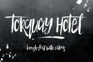 The Living Character of a Torquay Hotel: Coastal Hospitality Beyond the Brochure