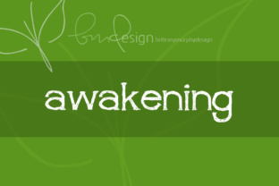 The Practical Path to Awakening: Finding Clarity and Purpose in Everyday Life