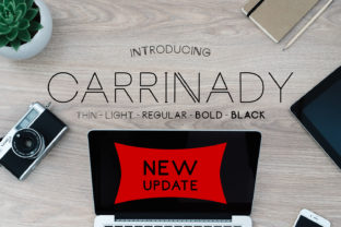 Understanding Carrinady and Its Role in Modern Digital Workflows