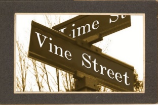 Vine Street: Your Practical Guide to Hollywood’s Most Dynamic Corridor