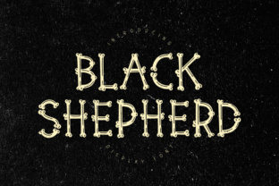 Why Black Shepherd Is Reshaping How Professionals Approach Creative Strategy
