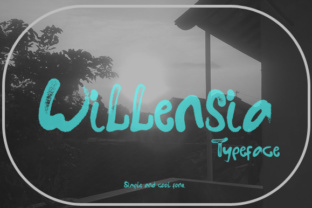 Willensia: A Practical Guide to Avoiding Common Pitfalls