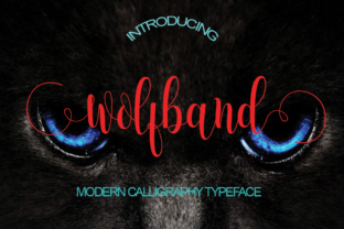 Wolfband in Focus: What It Offers and Where It Fits Among Audio Accessories